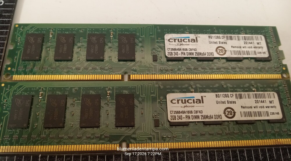 Crucial 4GB (2x2GB) DDR3-1600 PC3-12800U 240-Pin DIMM RAM CT25664BA160B.C8FKD